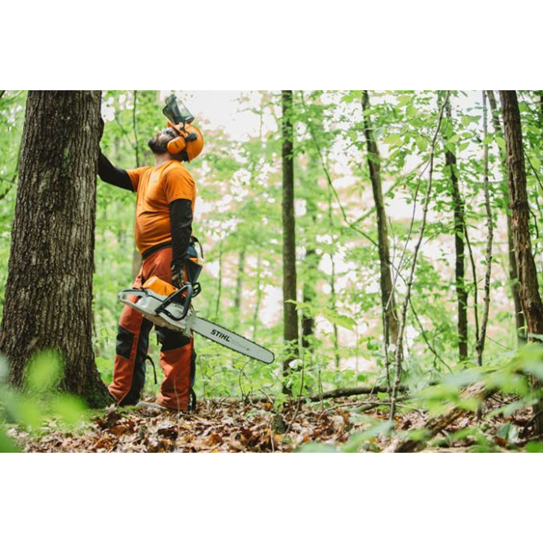 STIHL MS 462 Professional Chainsaw with 25 Inch bar and chain