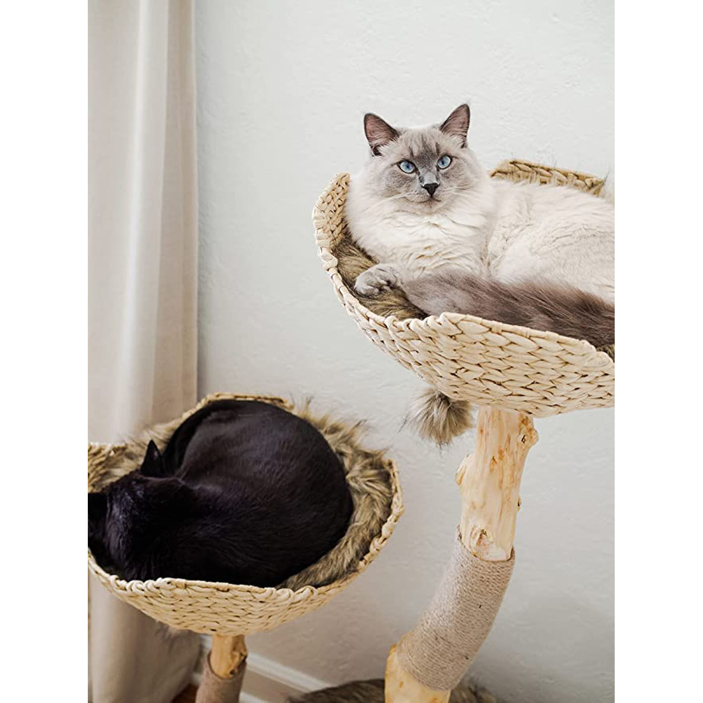 Modern Cat Tree Tower for Large Cats, Real Branch Luxury Cat Condo, Wood Cat Tower, Cat Scratching Tree, Cat Condo, Cat Lover Gift, Luxury Cat, Cat Gifts by Mau Lifestyle